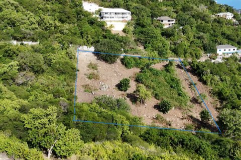 1214m² Land en Falmouth, Antigua and Barbuda No. 61354 12