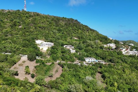 1214m² Land in Falmouth, Antigua and Barbuda No. 61354 19