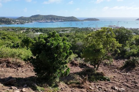 1214m² Land en Falmouth, Antigua and Barbuda No. 61354 25