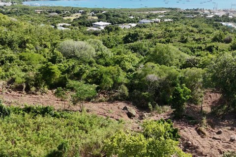 1214m² Land en Falmouth, Antigua and Barbuda No. 61354 13