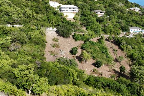 1214m² Land en Falmouth, Antigua and Barbuda No. 61354 14