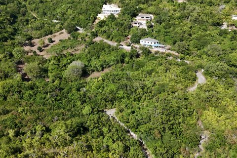 1214m² Land en Falmouth, Antigua and Barbuda No. 61354 18