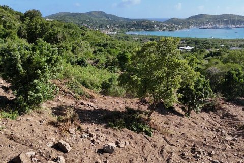 1214m² Land en Falmouth, Antigua and Barbuda No. 61354 4