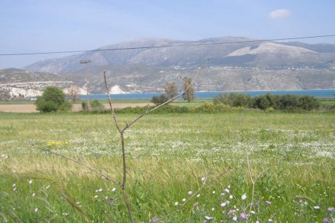 14000m² Land in Magnesia, Greece No. 56037 2