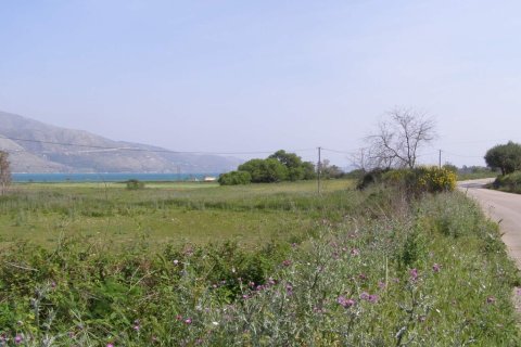 14000m² Land à Magnesia, Greece No. 56037 1