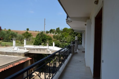 5 dormitorios Villa en Thessaloniki, Greece No. 58480 14