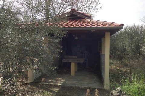 5 dormitorios House en Drama, Greece No. 58486 11