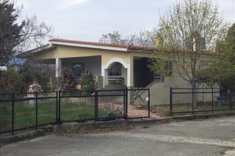 5 dormitorios House en Drama, Greece No. 58486 1