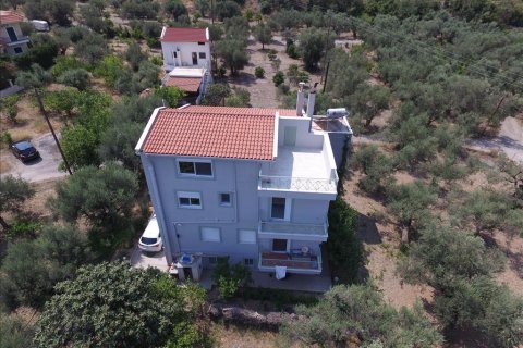 9 dormitorios House en Achaea, Greece No. 58311 9