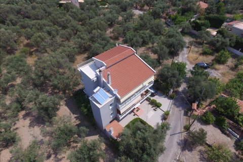 9 dormitorios House en Achaea, Greece No. 58311 7