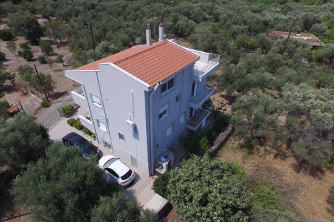 9 bedrooms House in Achaea, Greece No. 58311 10