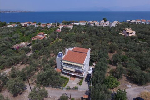 9 bedrooms House in Achaea, Greece No. 58311 11