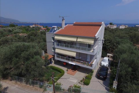 9 bedrooms House in Achaea, Greece No. 58311 4