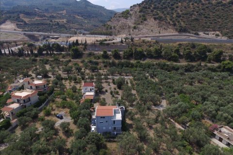 9 bedrooms House in Achaea, Greece No. 58311 17