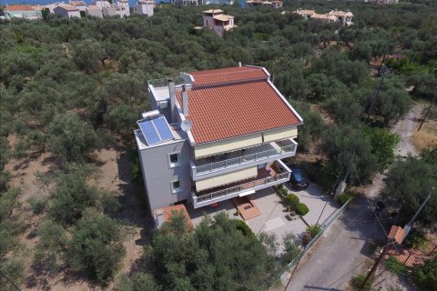 9 dormitorios House en Achaea, Greece No. 58311 6