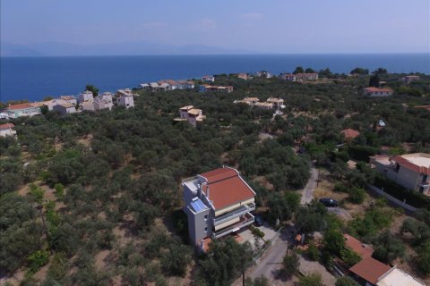 9 dormitorios House en Achaea, Greece No. 58311 20