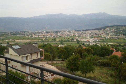 5 bedrooms House in Ioannina, Greece No. 58479 11