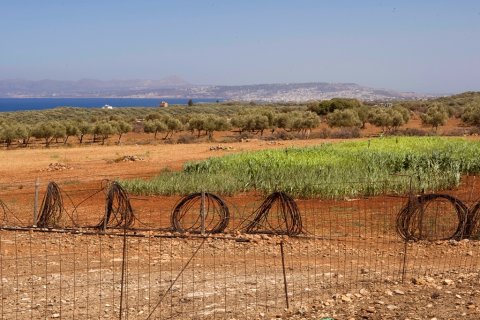 274615m² Land in Chania, Greece No. 60684 6