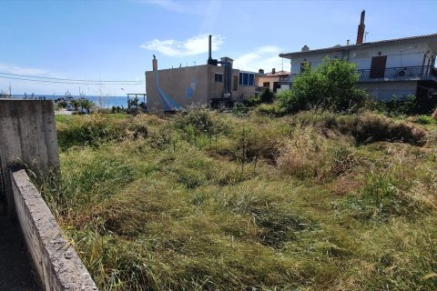 1300m² Land à Chalkidiki, Greece No. 60689 3