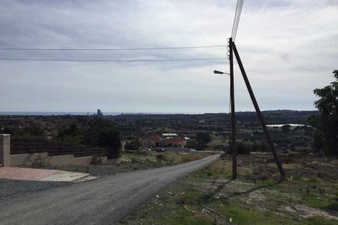 24274m² Land à Kalavasos, Cyprus No. 35875 2