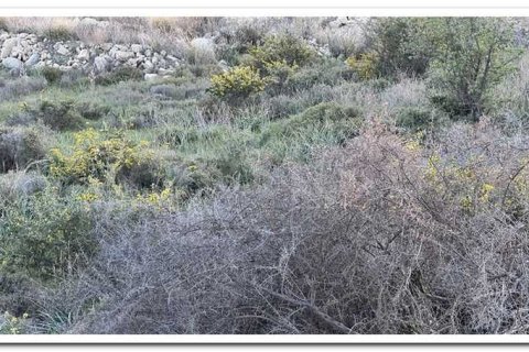 800m² Land à Germasogeia, Cyprus No. 35878 10