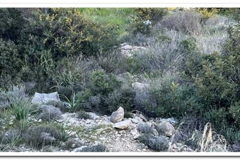 800m² Land à Germasogeia, Cyprus No. 35878 8