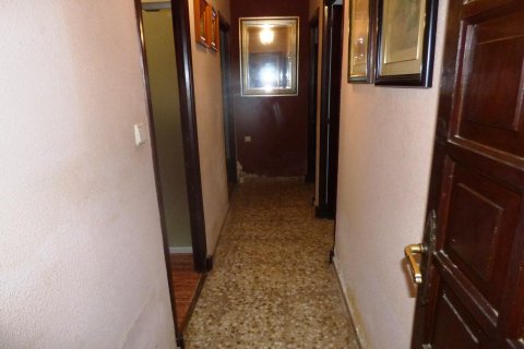 Квартира с 3 спальнями в Аликанте, Испания №92504 25