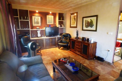 Квартира с 3 спальнями в Аликанте, Испания №92504 12
