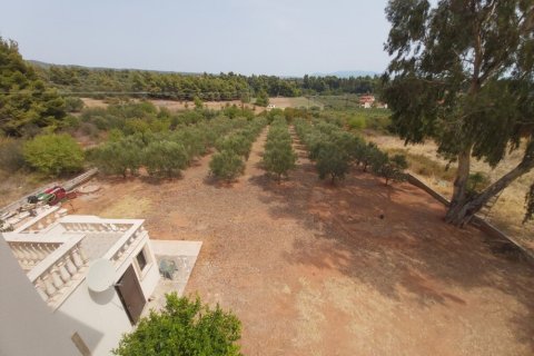 7 dormitorios Villa en Chalkidiki, Greece No. 51818 12