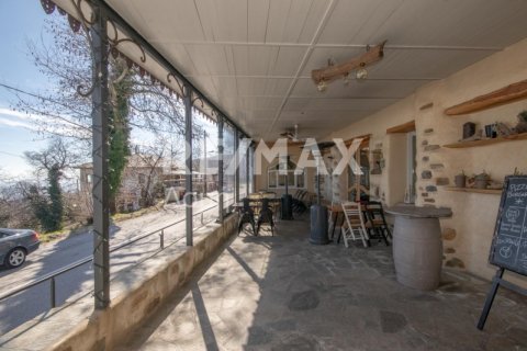 279m² Edificio en Mouresi, Greece No. 27971 5