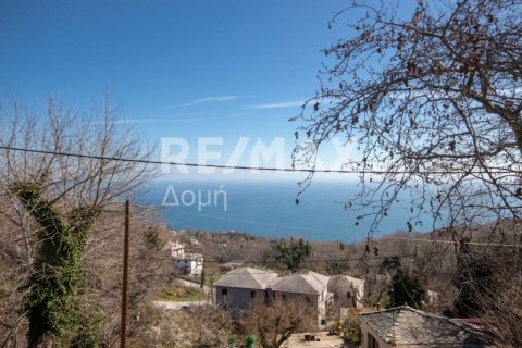 279m² Bâtiment à Mouresi, Greece No. 27971 15