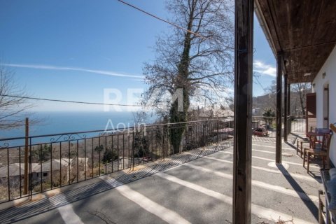 279m² Bâtiment à Mouresi, Greece No. 27971 13