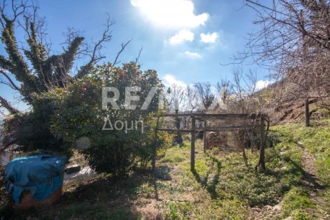 279m² Bâtiment à Mouresi, Greece No. 27971 8