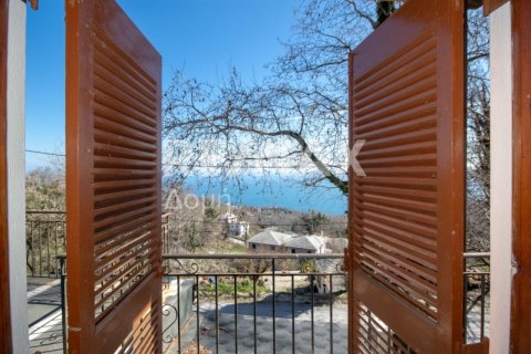 279m² Edificio en Mouresi, Greece No. 27971 10