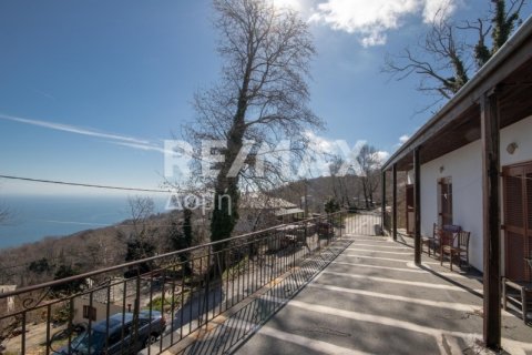 279m² Bâtiment à Mouresi, Greece No. 27971 12