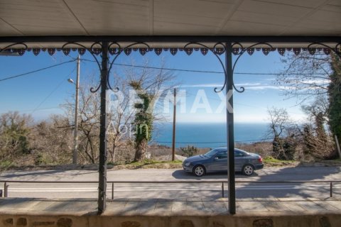 279m² Bâtiment à Mouresi, Greece No. 27971 6