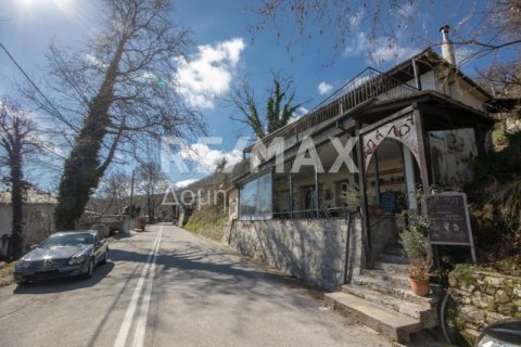 279m² Edificio en Mouresi, Greece No. 27971 2