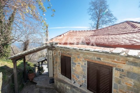 279m² Bâtiment à Mouresi, Greece No. 27971 7