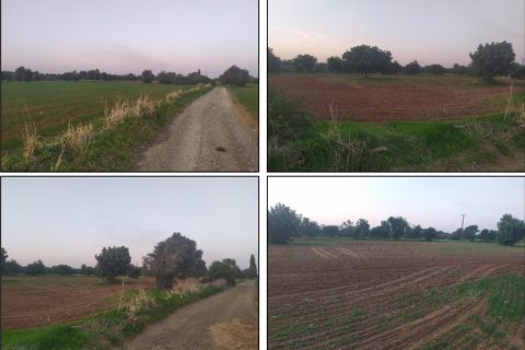 13894m² Land in Mazotos, Cyprus No. 28045 7