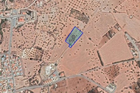 13894m² Land in Mazotos, Cyprus No. 28045 9