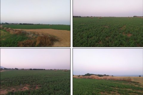 13894m² Land in Mazotos, Cyprus No. 28045 3