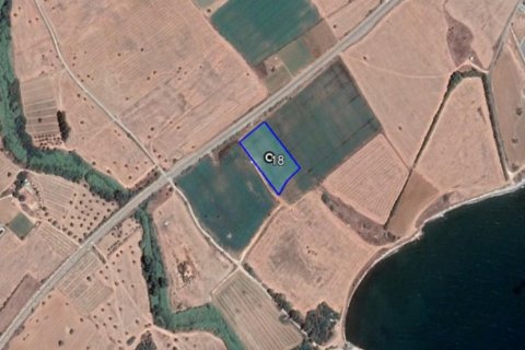 13894m² Land in Mazotos, Cyprus No. 28045 5