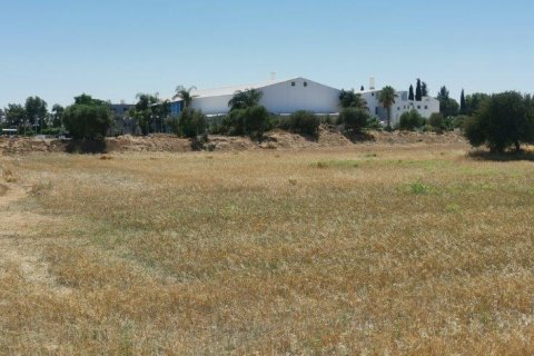 5222m² Land in Nicosia, Cyprus No. 28035 1