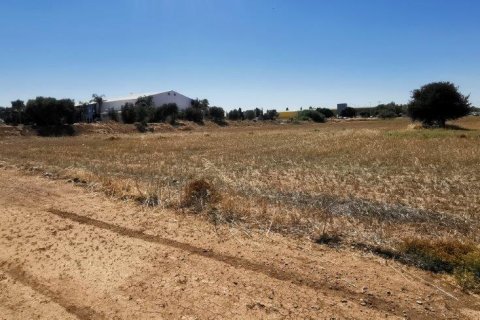 5222m² Land in Nicosia, Cyprus No. 28035 3