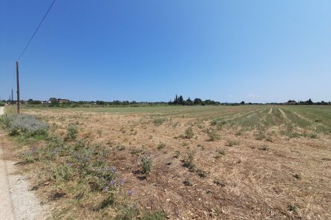 11100m² Land in Thermaic Gulf, Greece No. 55921 7