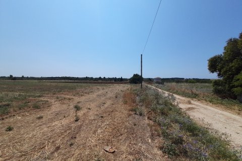 11100m² Land in Thermaic Gulf, Greece No. 55921 5