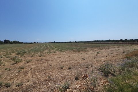 11100m² Land à Thermaic Gulf, Greece No. 55921 2