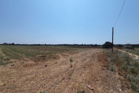 11100m² Land in Thermaic Gulf, Greece No. 55921 4