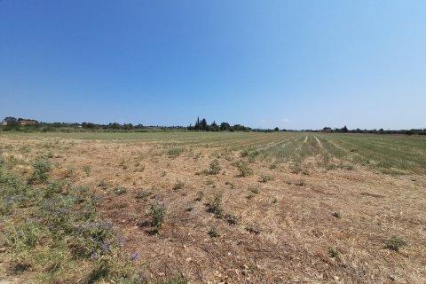 11100m² Land in Thermaic Gulf, Greece No. 55921 3