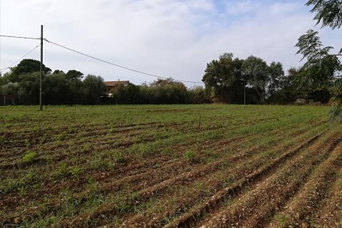 5622m² Land à Preveza, Greece No. 58093 3